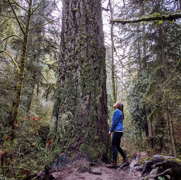 Meet your Posher, Lainey - Picture 1 of 1